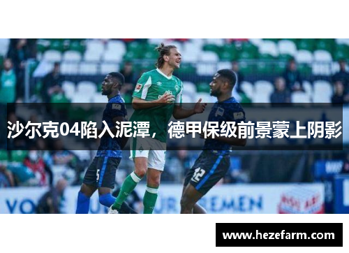 沙尔克04陷入泥潭,德甲保级前景蒙上阴影